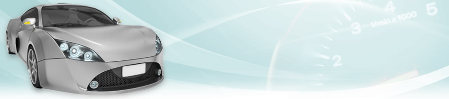 ̐I炪ЉIhCuƉKɂȂԂ֗̕ObY